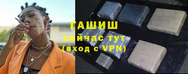 гашик Тайга