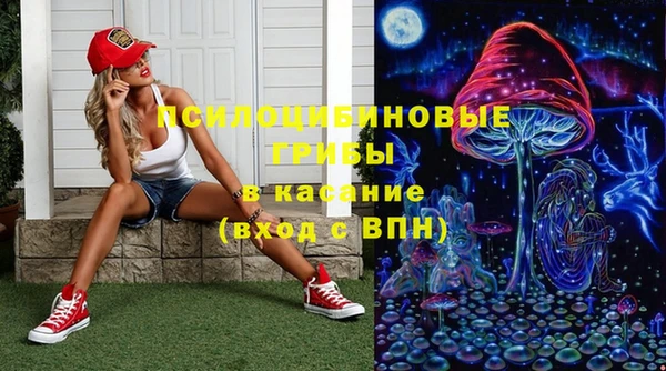гашик Тайга
