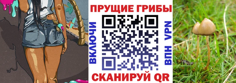 Галлюциногенные грибы мухоморы сайты даркнета наркотические препараты Ардон